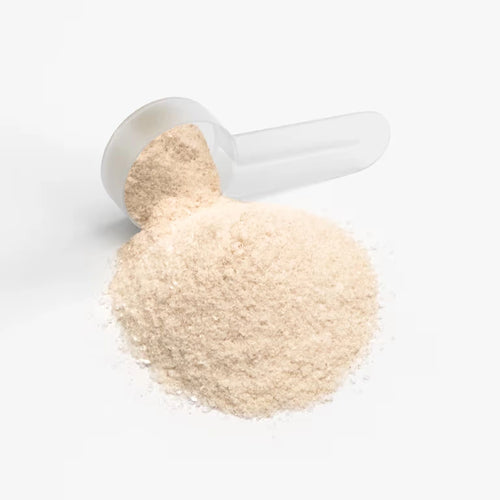 Electrolyte Powder - Best Electrolyte Supplement with B-Vitamins & Minerals (Lemonade)