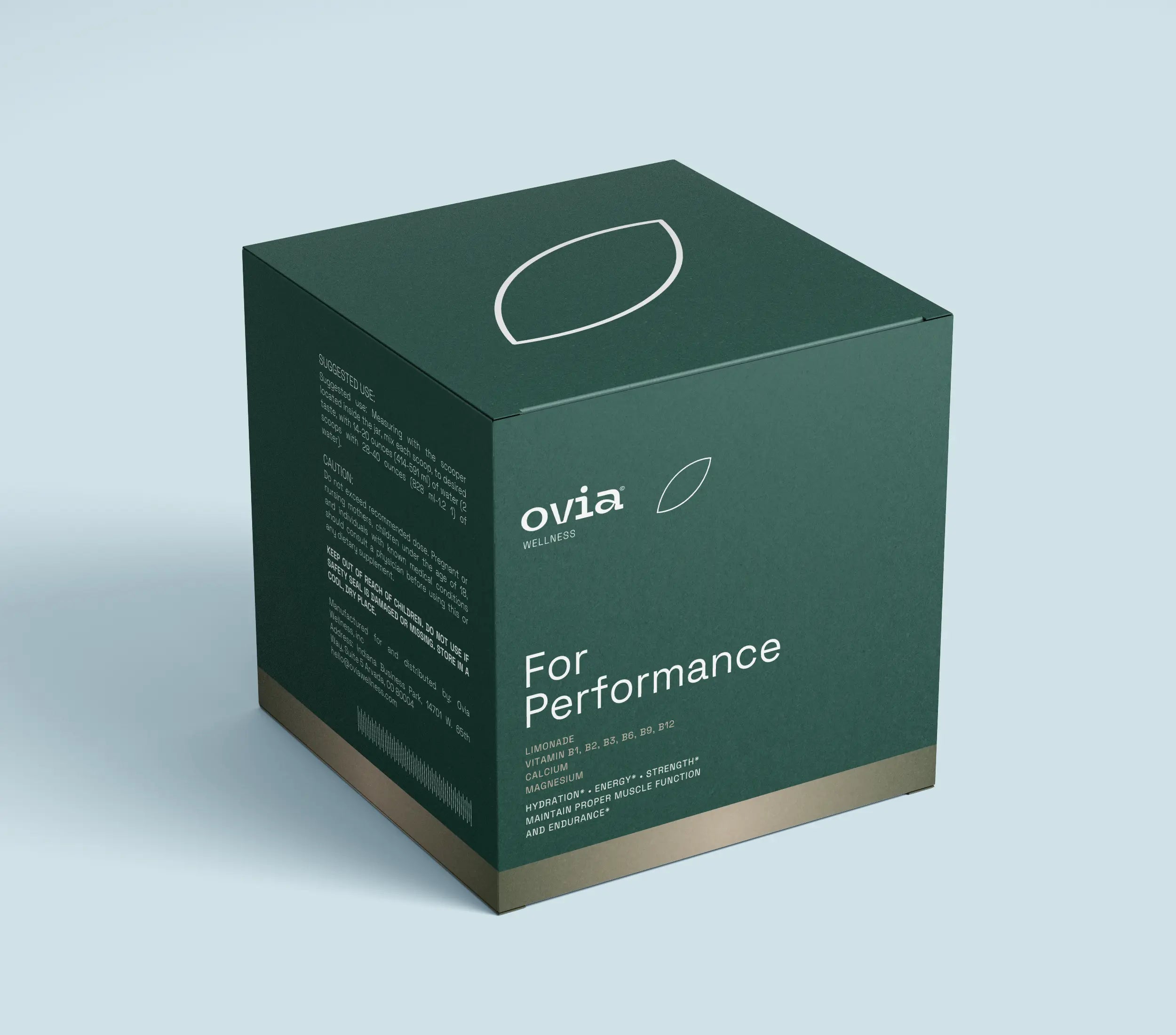 Electrolyte Powder - Best Electrolyte Supplement with B-Vitamins & Minerals (Lemonade)