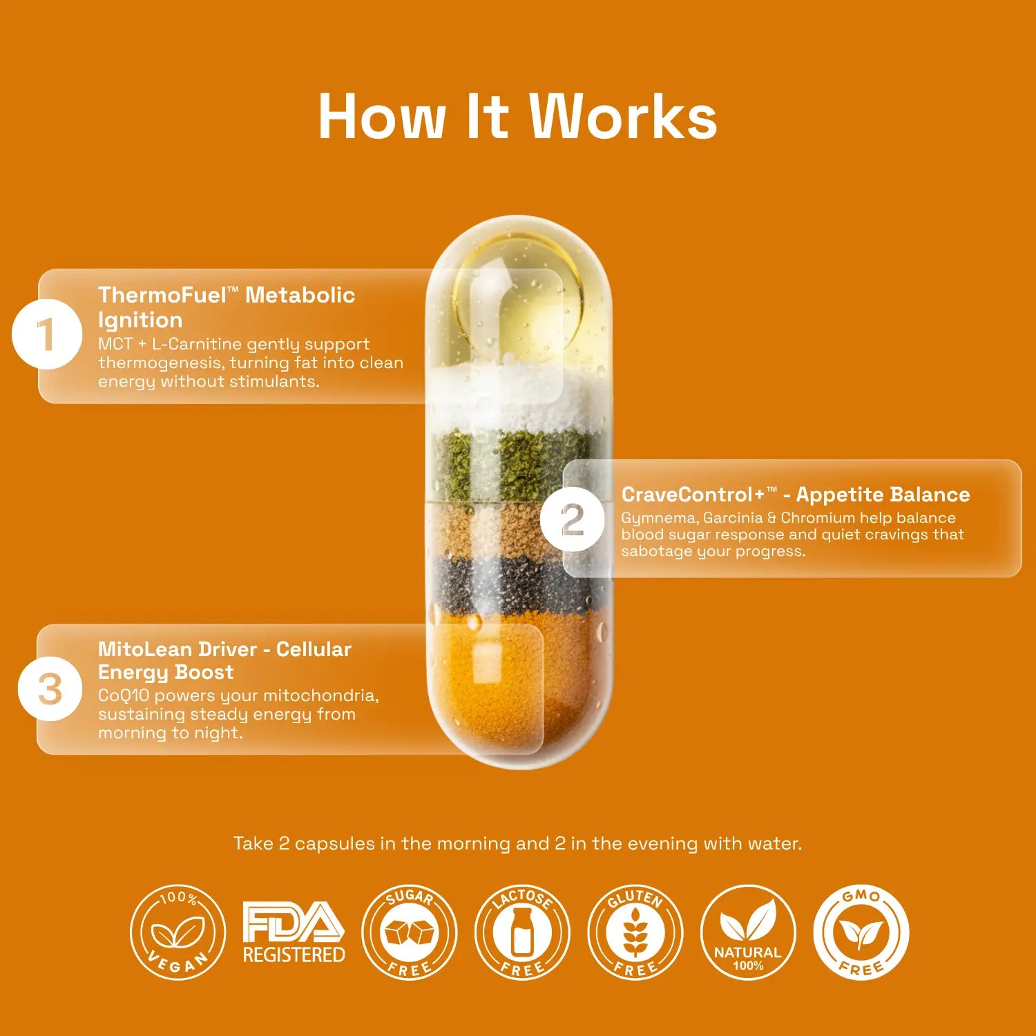 Ovia Wellness For Bun - Burn fat. Balance cravings. Feel steady energy