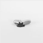 Ovia for Digestion - Absorption-First Daily Gut Comfort Capsule