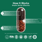Ovia for Digestion - Absorption-First Daily Gut Comfort Capsule