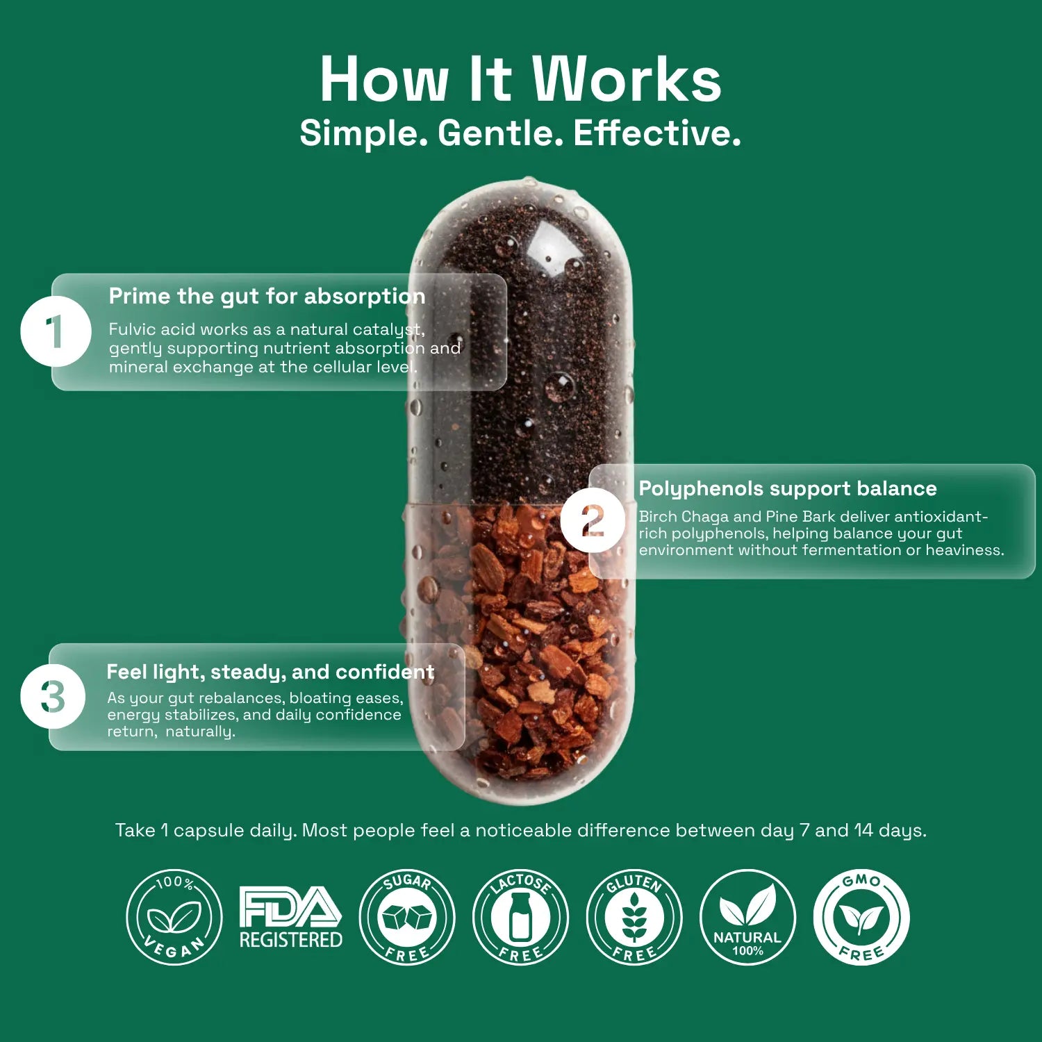Ovia for Digestion - Absorption-First Daily Gut Comfort Capsule