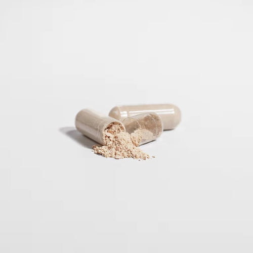 Lion's Mane Mushroom - Nootropic Brain Health Supplement (60 Vegan Caps)